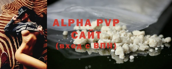 индика Осинники