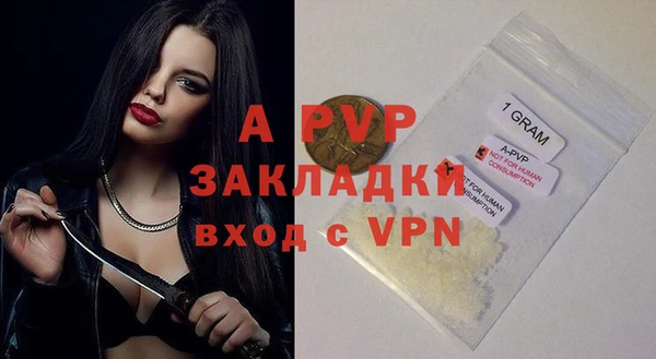 индика Осинники