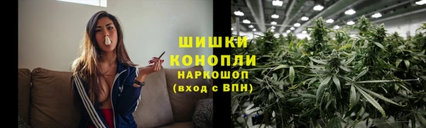 дурь Осташков