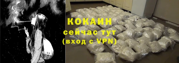 индика Осинники