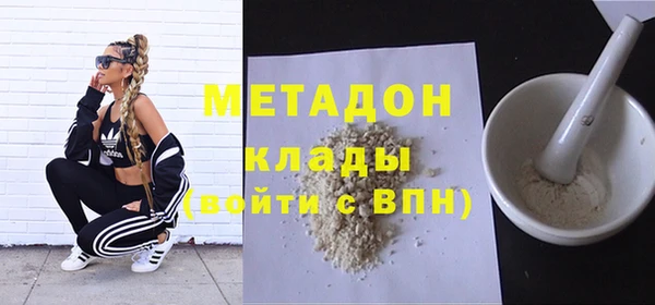 индика Осинники