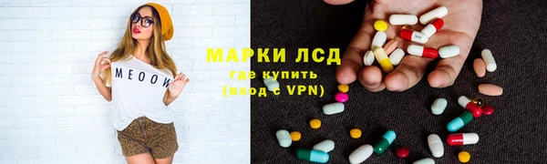 индика Осинники