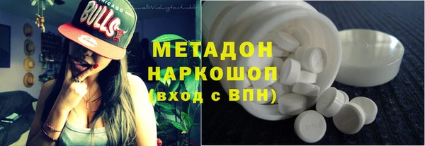 индика Осинники
