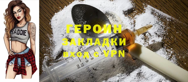 индика Осинники