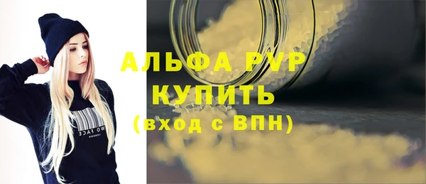 индика Осинники