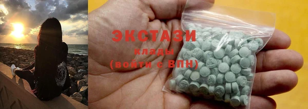 индика Осинники