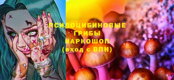 мдпв Нягань