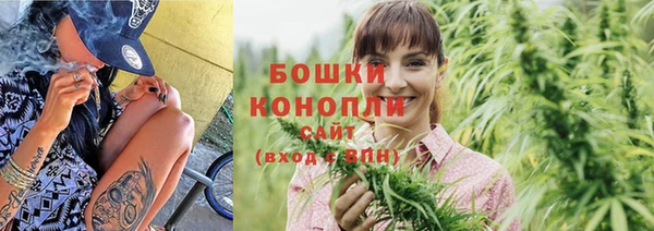 индика Осинники