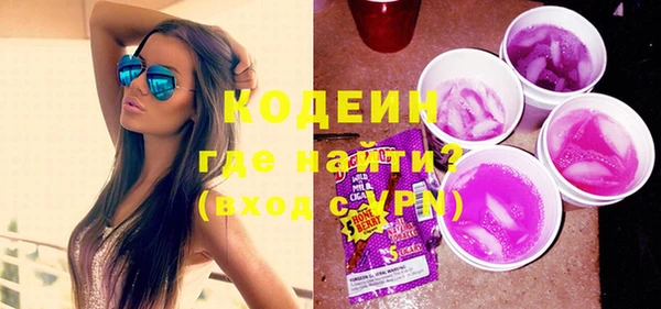 индика Осинники