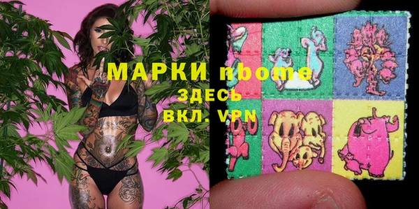 дурь Осташков
