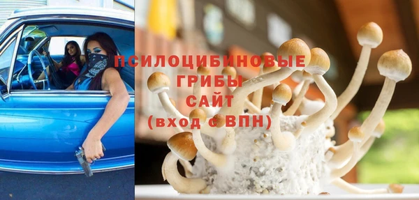 амф Остров