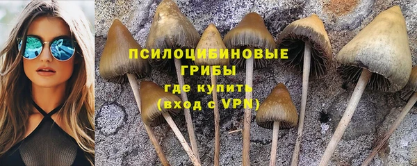 дурь Осташков