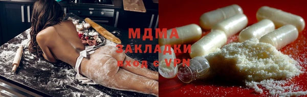индика Осинники