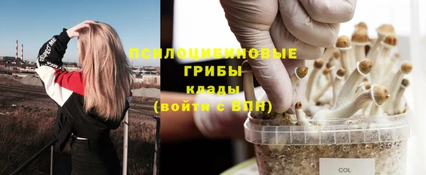 эйфоретик Няндома